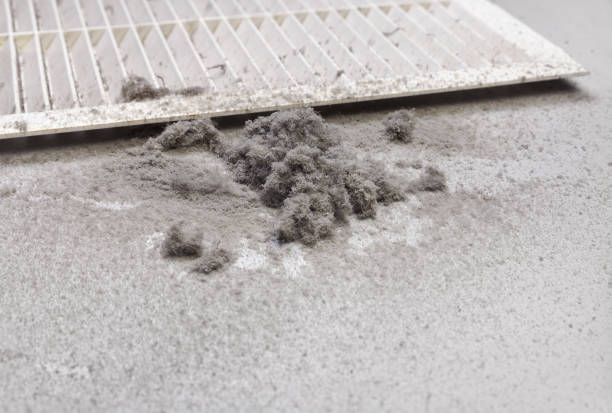 Best Professional Duct Cleaning Services  in Houma, LA