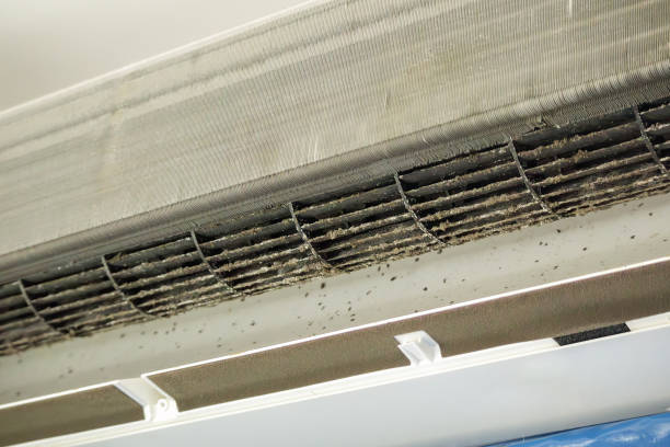 Best Ventilation Cleaning Services  in Houma, LA